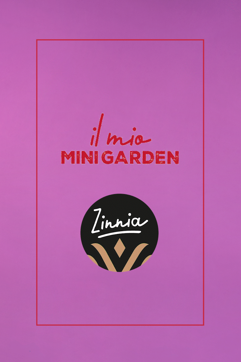 Uovo Vanini Tasting Experience Fondente Cocco Mandorle | 280g Uova di Pasqua Vanini 4